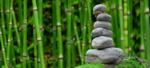 Health & Wellbeing at Manchester Modern-day Monastery