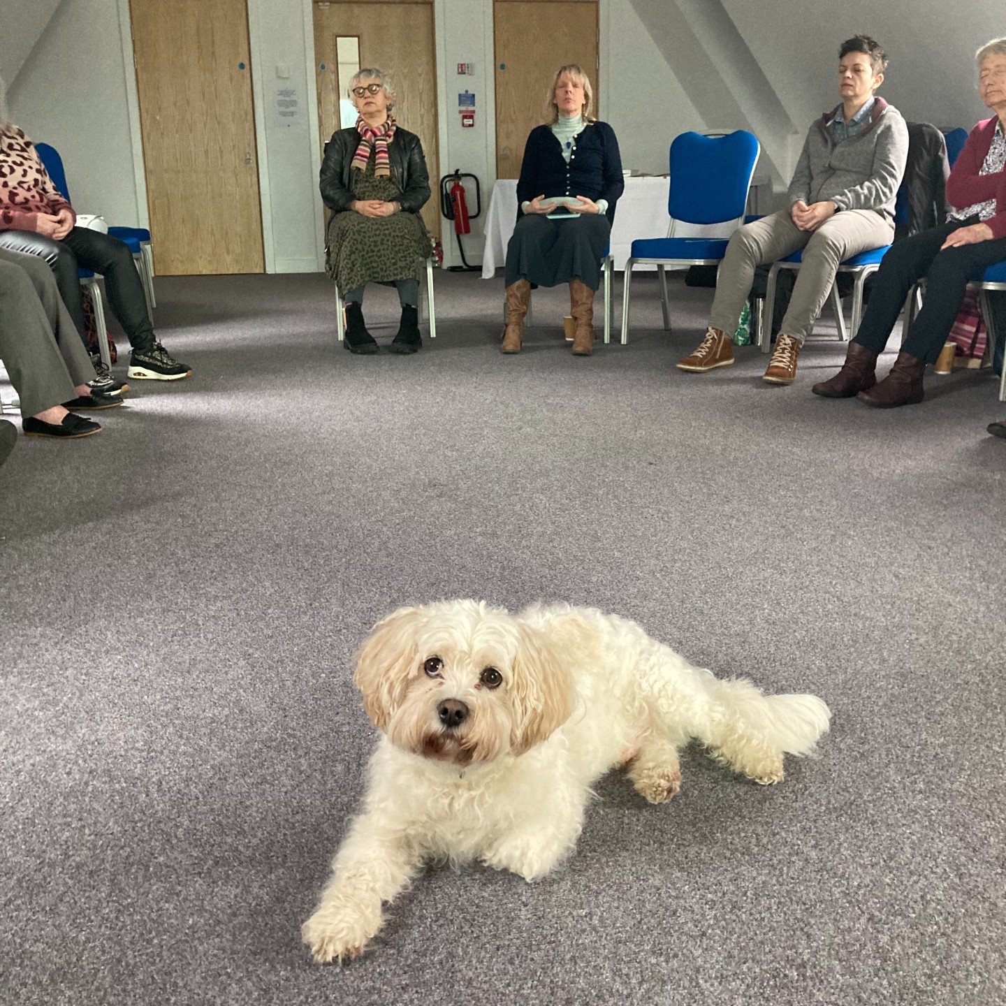 meditation course for beginners at the Monastery Manchester