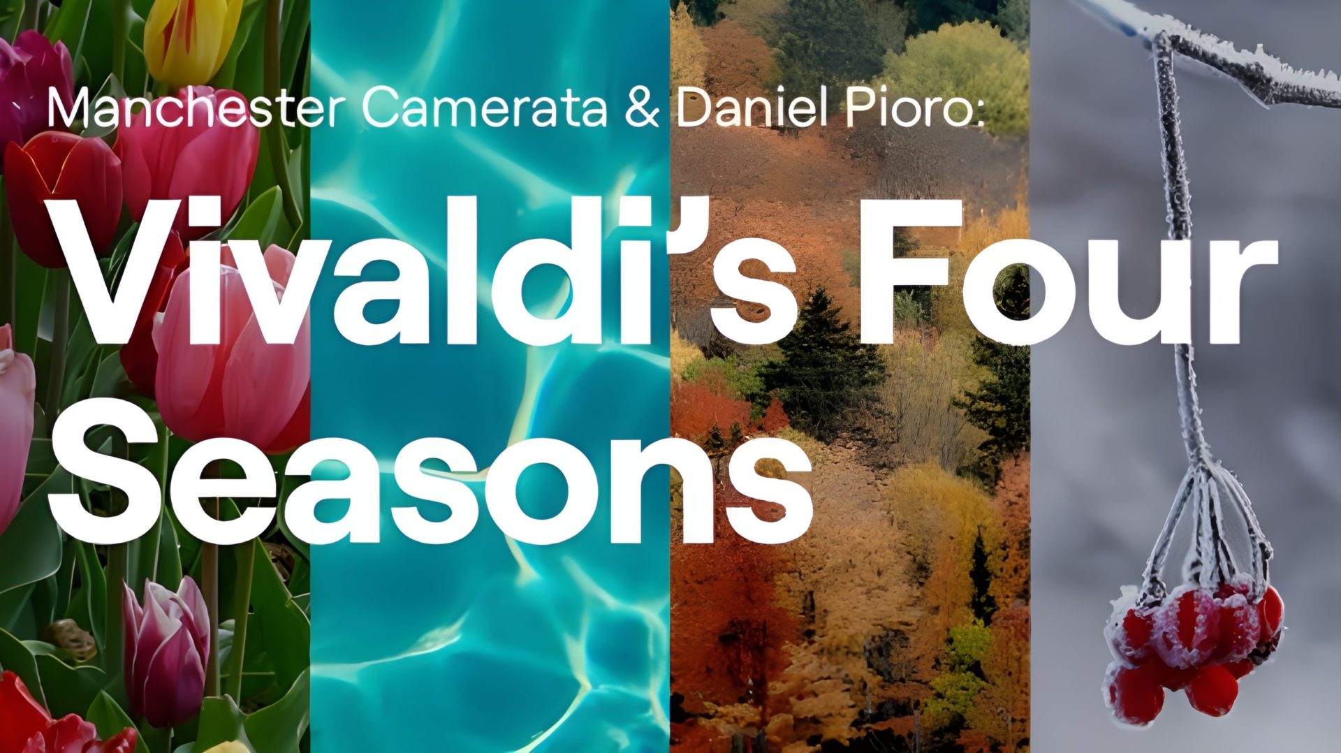 Vivaldi's Four Seasons by Manchester Camerata